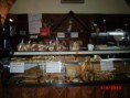 /album/galleria-foto-homepage/cimg6946-jpg/